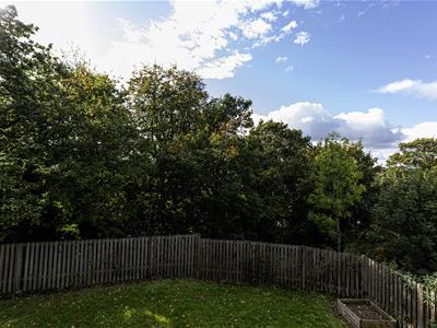Picture 28